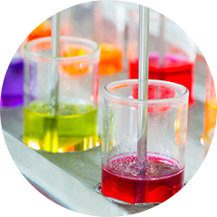 Man spraying field in green rice paddy field